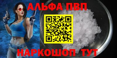 jwh Кингисепп