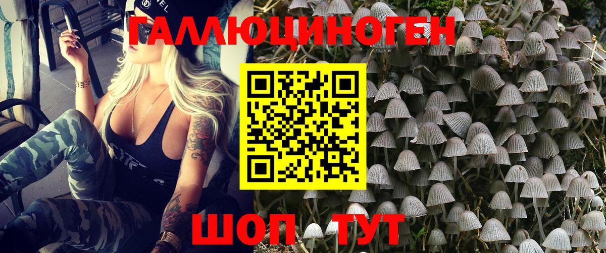Псилоцибиновые грибы ЛСД Дальнегорск