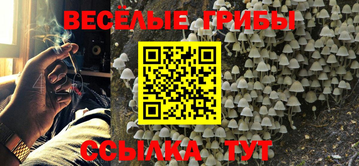 Псилоцибиновые грибы MAGIC MUSHROOMS  где купить наркоту  Дальнегорск  Вход с VPN 